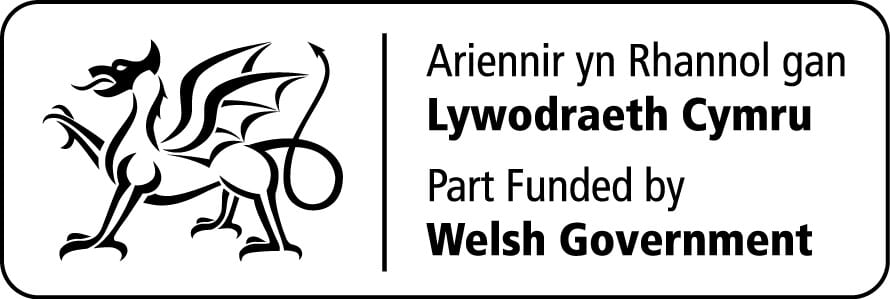 Welsh gov logo