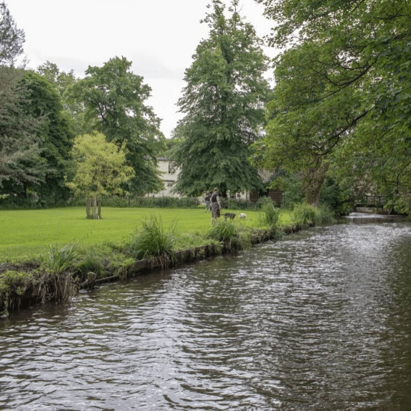 River Wandle