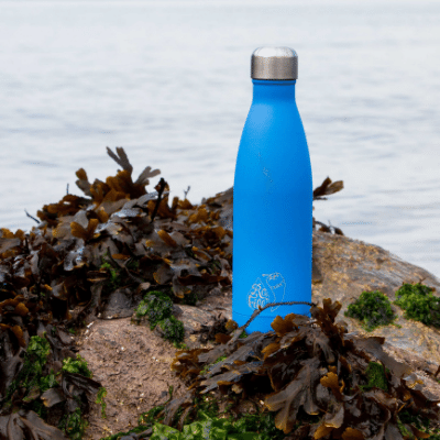 Bottle on rock