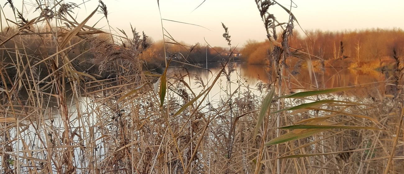 refill scheme warrington rectangle river mersey