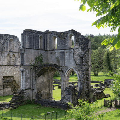 Roche Abbey
