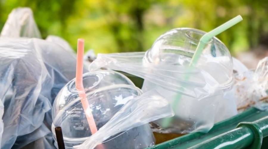 Plastic cups in bin